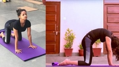 4. Marjariasana (Cat Cow Pose) - Urdhva Mukhi Marjari Asana: Get down on your knees, place palms under shoulders and knees under hips. Inhale, curve your spine to look up. Adho Mukhi Marjari Asana: Exhale, curve your spine to form an arch of the back and allow your neck to drop down. Focus your gaze towards your chest. (Twitter/stacyhailey) 4. Marjariasana (Cat Cow Pose) - Urdhva Mukhi Marjari Asana: Get down on your knees, place palms under shoulders and knees under hips. Inhale, curve your spine to look up. Adho Mukhi Marjari Asana: Exhale, curve your spine to form an arch of the back and allow your neck to drop down. Focus your gaze towards your chest. (Twitter/stacyhailey)