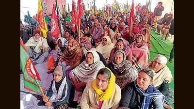 Sanjha Morcha, Zira, again claimed that they had boycotted the probe due to the alleged biased attitude of the probe committees and the Punjab government. (HT file photo)