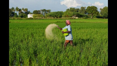 Sarpanches seek apology from minister after he ‘threatens’ village head (Representational pic) (PTI)