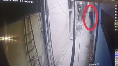 Screengrab of the video of the incident from Delhi where a man stabbed a 21-year-old woman. (ANI)