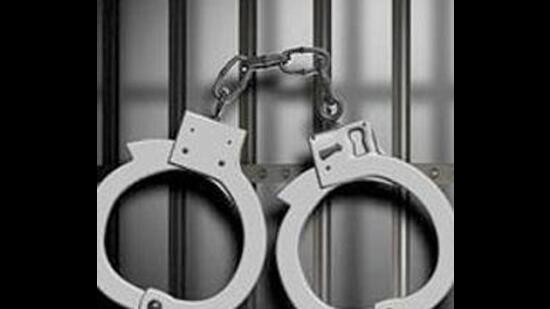The arrested man has been identified as Gurmeet Singh alias Meeta of Khushalpur village. (Representational Photo)