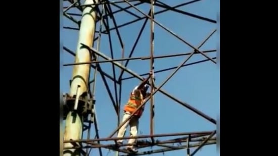 The image from the Twitter video shows the traffic cop climbing a hoarding structure to rescue a bird. (Twitter/@DCPTrWestBCP)