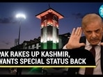PAK RAKES UP KASHMIR, WANTS SPECIAL STATUS BACK PAK RAKES UP KASHMIR, WANTS SPECIAL STATUS BACK
