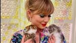 Taylor Swift with her cats. (Photo: Instagram/taylorswift) Taylor Swift with her cats. (Photo: Instagram/taylorswift)