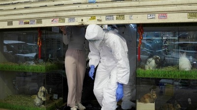 Hong Kong: Officers in protective suits leave a closed pet shop in Mong Kok district. (Reuters)