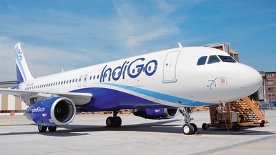 Indigo AIrlines (File pic) Indigo AIrlines (File pic)
