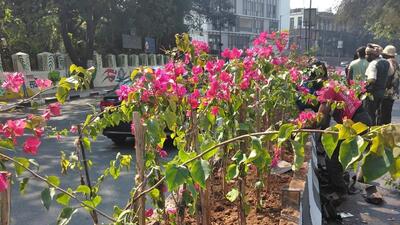 Road beautification work underway at Shivajinagar. (HT PHOTO)