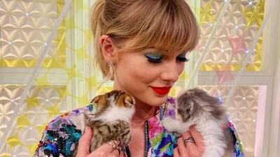 Taylor Swift with her cats. (Photo: Instagram/taylorswift)