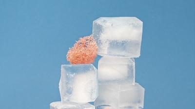 Ionocaloric refrigeration would eliminate the risk of such gases escaping into the atmosphere by replacing them with solid and liquid components. (Unsplash) Ionocaloric refrigeration would eliminate the risk of such gases escaping into the atmosphere by replacing them with solid and liquid components. (Unsplash)