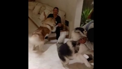 Shefali Shah getting treated with hugs and kisses from pet dog. (Instagram/@shefalishahofficial) Shefali Shah getting treated with hugs and kisses from pet dog. (Instagram/@shefalishahofficial)