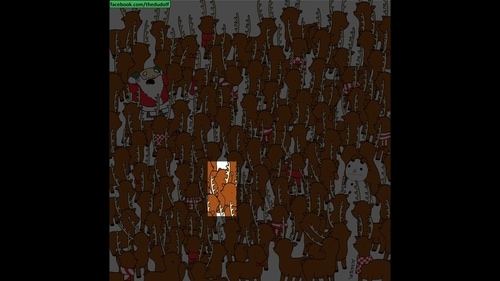 Bear highlighted in the viral brain teaser. (Gergely Dudás - Dudolf) Bear highlighted in the viral brain teaser. (Gergely Dudás - Dudolf)