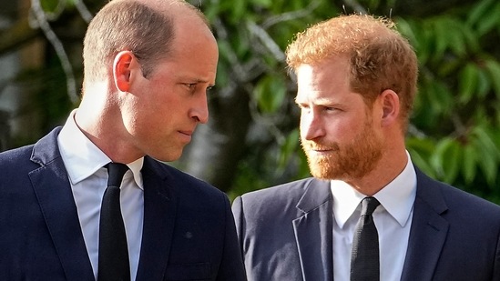 Prince Harry: Britain's Prince William and Britain's Prince Harry are seen.(AP)