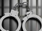Subramanya police registered a case against unknown persons. Subramanya police registered a case against unknown persons.