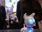 Mintid Dog-e by WowWee Group Ltd. on display during a press event at the 2023 CES event in Las Vegas.(Bloomberg) Mintid Dog-e by WowWee Group Ltd. on display during a press event at the 2023 CES event in Las Vegas.(Bloomberg)