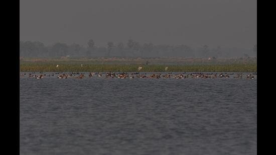 Gogabil lake is a natural waterlogged area of 137 hectares in Bihar’s Katihar district. (HT Photo)