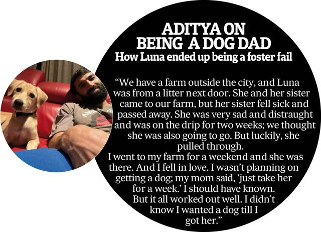 The dog dad The dog dad