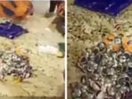 A man who arrived on Ethiopian Airlines flight ET-460 was held and a detailed search of his bag led to the discovery of 1.596 kilograms of cocaine concealed in buttons of kurtas.