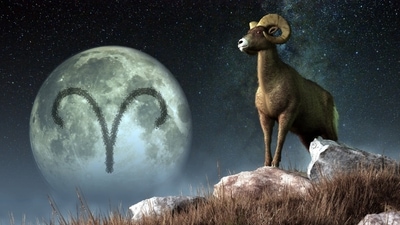 Aquarius Weekly Horoscope for 8-15 January, 2023 : Aries natives may have multiple reasons to smile this week.