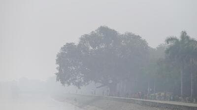 There was no let-up in cold wave conditions sweeping Haryana and Punjab, with the minimum temperature at most places settling below normal limits. (Representative Image/HT File)