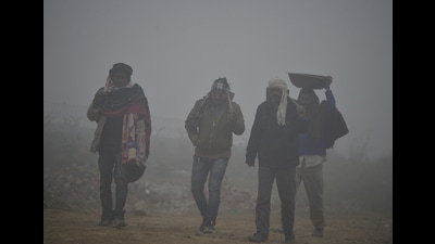 Wearing torn jackets over their jersey, they were hard at work, lifting bricks, gravel and sand. Most of them were bare-handed. (ANI/Representational Image) Wearing torn jackets over their jersey, they were hard at work, lifting bricks, gravel and sand. Most of them were bare-handed. (ANI/Representational Image)