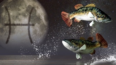 Pisces Weekly Horoscope for January 8 to 15, 2023: Pisceans can anticipate a trouble-free work week.