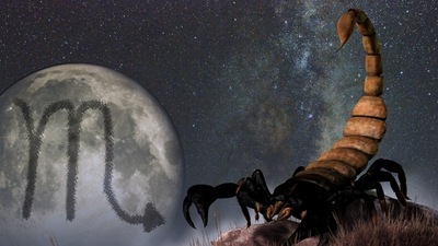 Scorpio Weekly Horoscope for January 8-15, 2023: Career-wise, Scorpio natives might enter a fruitful period.