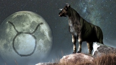 Taurus Weekly Horoscope for January 8-15, 2023: .Taurus natives will have the drive to take on some additional responsibilities at work this week (shutterstock)