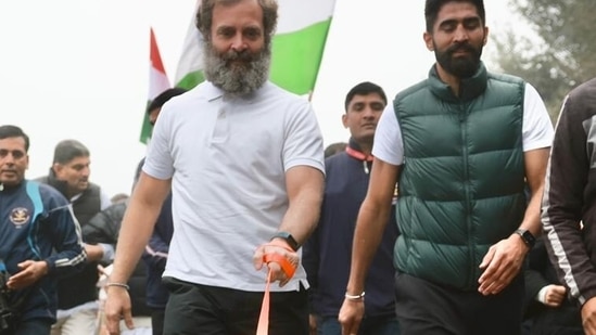 Rahul Gandhi during the Bharat Jodo Yatra in Haryana. 