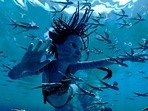 Trinity Bliss, as Tuk, in a scene from Avatar: The Way of Water. (20th Century Studios via AP)(AP) Trinity Bliss, as Tuk, in a scene from Avatar: The Way of Water. (20th Century Studios via AP)(AP)