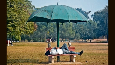 A man enjoying a siesta at Town Park in Panchkula on a sunny Sunday afternoon. (Sant Arora/HT) A man enjoying a siesta at Town Park in Panchkula on a sunny Sunday afternoon. (Sant Arora/HT)