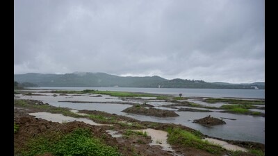 Police officers from Lonavla police station said that victim’s friends tried to save him but because of the depth of the water and mud he was drowned to death (REPRESENTATIVE PHOTO) Police officers from Lonavla police station said that victim’s friends tried to save him but because of the depth of the water and mud he was drowned to death (REPRESENTATIVE PHOTO)