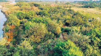 The land erosion in Delhi can, for the most part, be attributed to the unmanaged drainage system of three basin regions, Najafgarh, Barapullah and the trans-Yamuna basin. (Sourced) The land erosion in Delhi can, for the most part, be attributed to the unmanaged drainage system of three basin regions, Najafgarh, Barapullah and the trans-Yamuna basin. (Sourced)