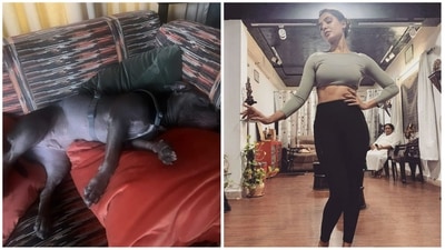 Samantha Ruth Prabhu shared a funny post on Instagram about being graceful. Samantha Ruth Prabhu shared a funny post on Instagram about being graceful.
