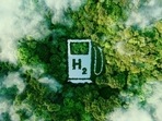The good news is that India has an advantage in terms of low-cost renewable electricity (green hydrogen is produced from renewable sources by electrolysis).  