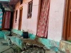 Cracks appearing at houses in Joshimath in Chamoli district. (PTI photo)(HT_PRINT)