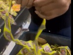 Screengrab from the video. Screengrab from the video.