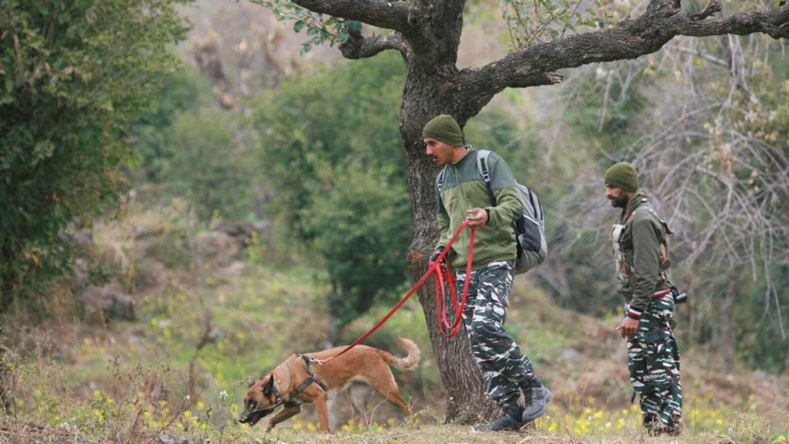 CRPF to provide arms training to village defence guards in J&K