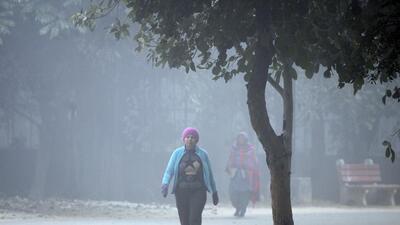 Gurugram, India-January 09, 2023: People are doing a morning walk on a cold winter and foggy morning in Tau Devi Lal Biodiversity and Botanical garden at sector-52A, in Gurugram, India, on Monday, 09 January 2023. (Photo by Parveen Kumar/Hindustan Times) Gurugram, India-January 09, 2023: People are doing a morning walk on a cold winter and foggy morning in Tau Devi Lal Biodiversity and Botanical garden at sector-52A, in Gurugram, India, on Monday, 09 January 2023. (Photo by Parveen Kumar/Hindustan Times)