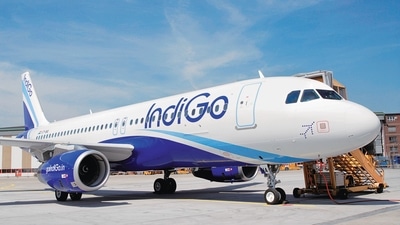 Indigo AIrlines (File pic) Indigo AIrlines (File pic)