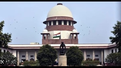 The SC panel has also been asked to enforce road safety norms on national highways, state highways, and other roads. (HT Photo) The SC panel has also been asked to enforce road safety norms on national highways, state highways, and other roads. (HT Photo)
