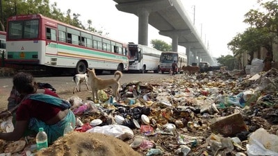 sanitation staff stop garbage-collection in Lucknow (File photo) sanitation staff stop garbage-collection in Lucknow (File photo)