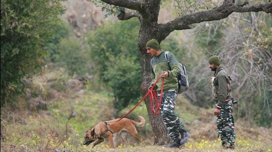 Security personnel keep a vigil at Dangri village in Rajouri district of Jammu and Kashmir. (PTI)