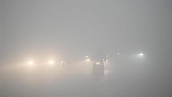 The fog reduced visibility to 25 metres at Safdarjung. (HT PHOTO)