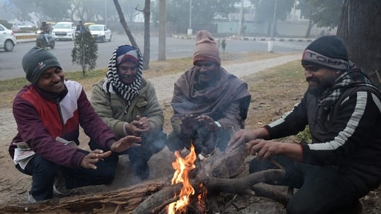 Several people seek respite from the intense coldwave as they sit by a bonfire(Keshav Singh/Hindustan Times)