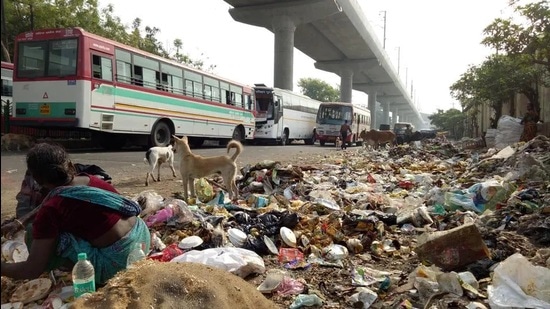 sanitation staff stop garbage-collection in Lucknow (File photo)