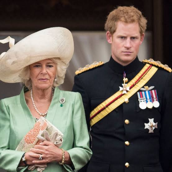 Prince Harry called Camilla, Queen Consort, "the villian" in new interview ahead of the release of his memoir Spare. Prince Harry called Camilla, Queen Consort, "the villian" in new interview ahead of the release of his memoir Spare.