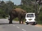 Screengrab of the video showing the elephant searching the van after the people inside attempted to feed it.(Twitter/susantananda3)