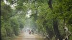 Bharatpur is a World Heritage Site. (Sourabh Bharti / Shutterstock.com) Bharatpur is a World Heritage Site. (Sourabh Bharti / Shutterstock.com)