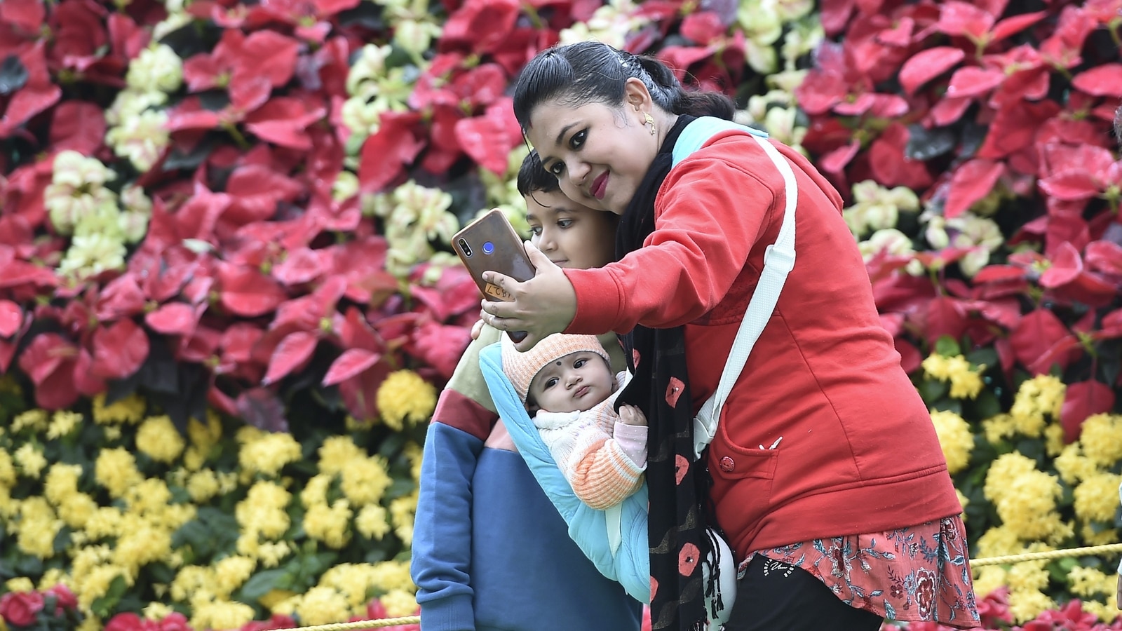 Bengaluru's Lalbagh to host flower show from January 19-29: Report | Bengaluru - Hindustan Times