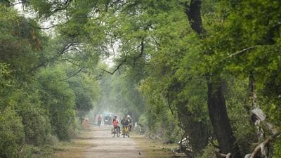 Bharatpur is a World Heritage Site. (Sourabh Bharti / Shutterstock.com) Bharatpur is a World Heritage Site. (Sourabh Bharti / Shutterstock.com)